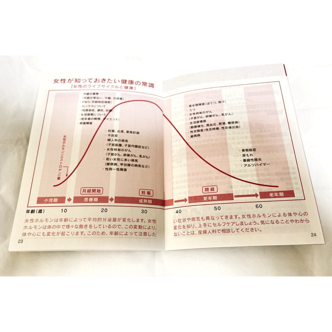 女性の生涯健康手帳 2冊 状態良 日本産婦人科婦人科学会 日本産婦人科医会 エンタメ/ホビーの本(健康/医学)の商品写真