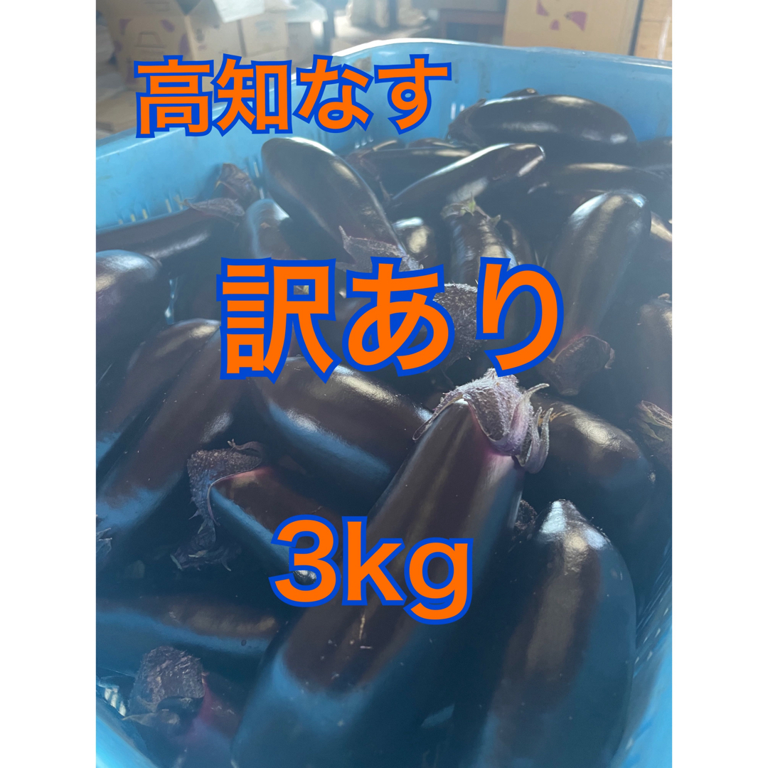 【訳あり】高知県なす　3kg 食品/飲料/酒の食品(野菜)の商品写真