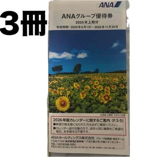 ANAグループ優待券2025年上期分3冊(その他)
