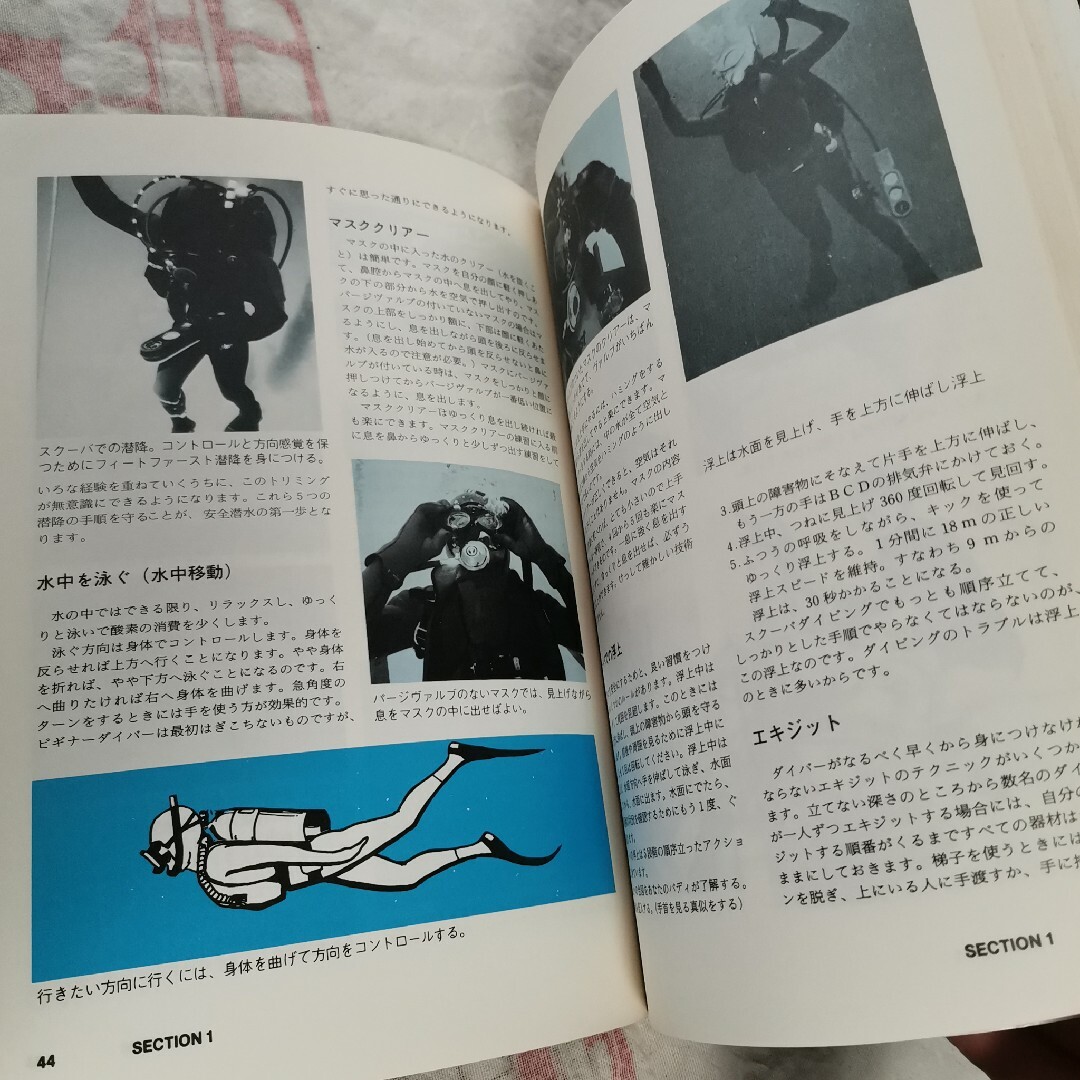 PADI DIVER MANUAL 日本語　ダイビング　ダイバー エンタメ/ホビーの本(趣味/スポーツ/実用)の商品写真