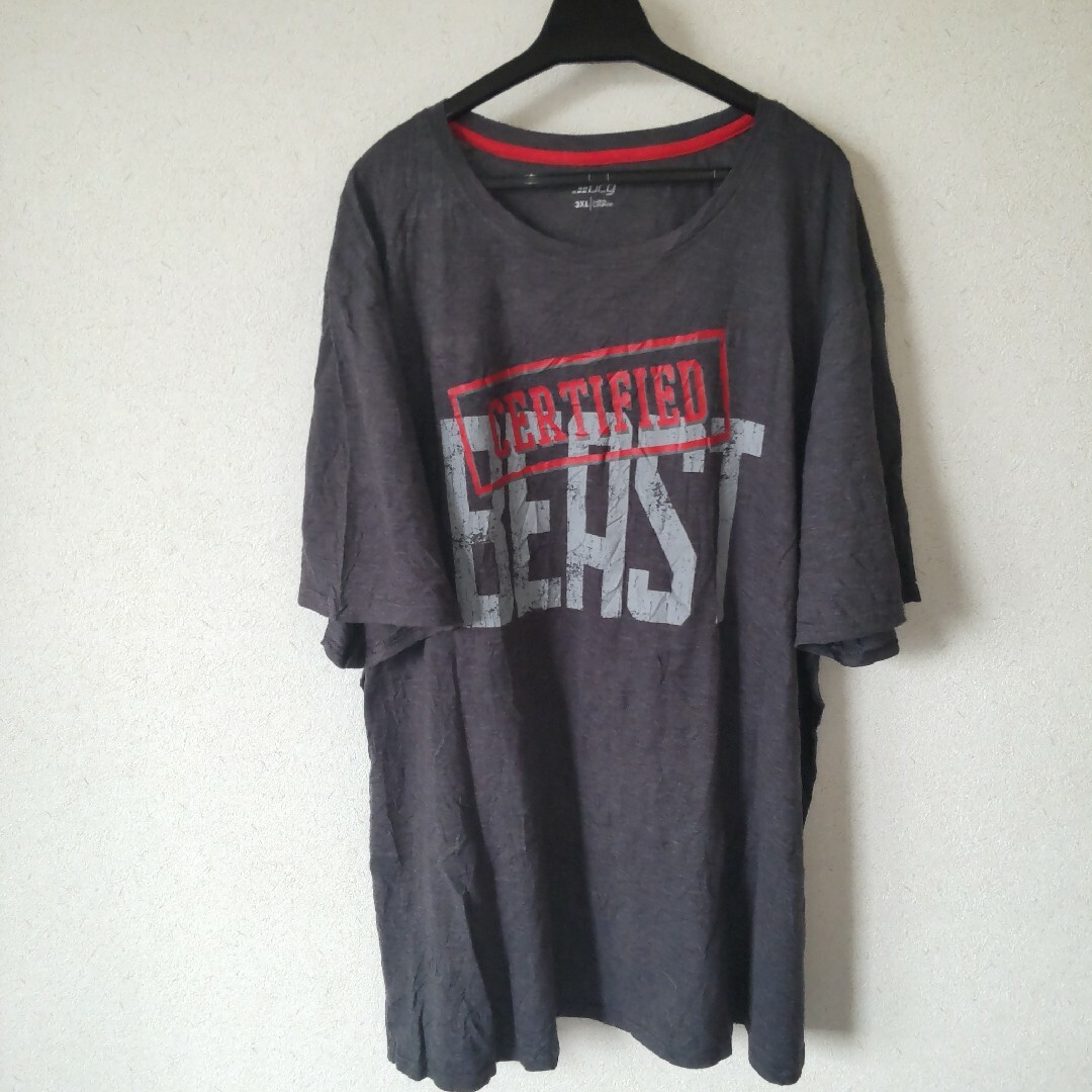 古着オーバーサイズ海外製 メンズのトップス(Tシャツ/カットソー(半袖/袖なし))の商品写真