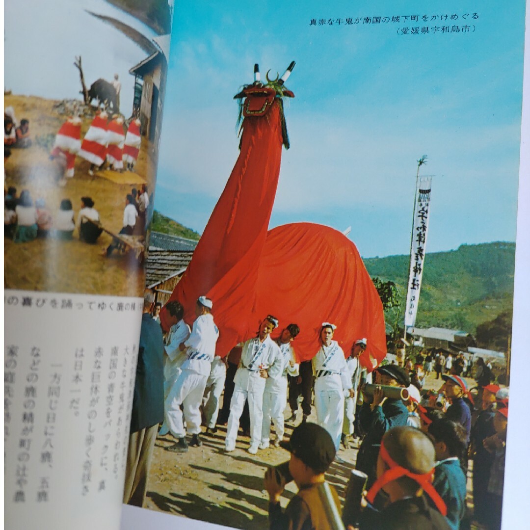 カラーブックス　日本の祭 エンタメ/ホビーの本(趣味/スポーツ/実用)の商品写真