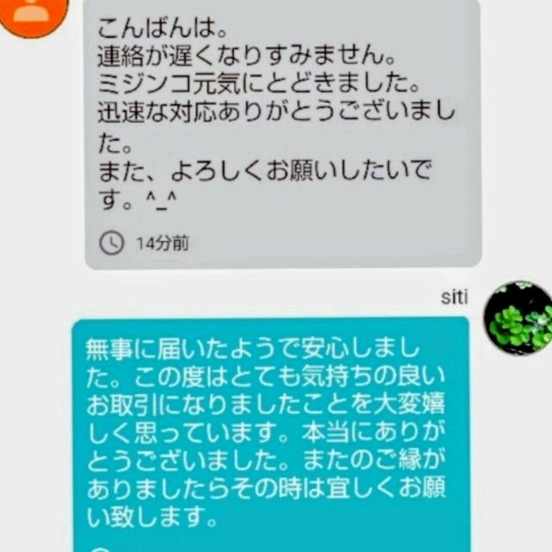 死着は前例がありません★タイリクミジンコ国産生クロレラで爆殖中！飼育水200ml その他のペット用品(アクアリウム)の商品写真