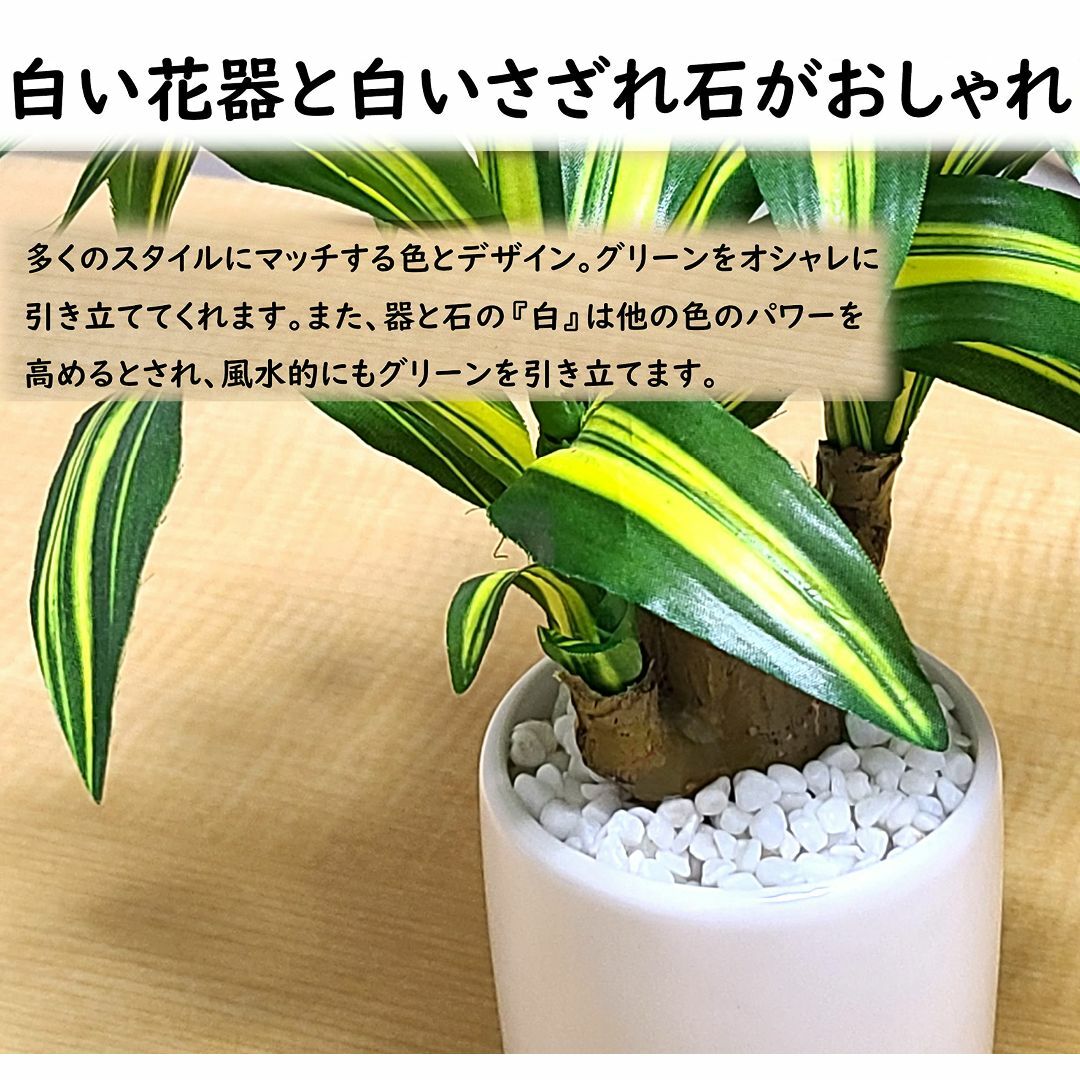 【色:ドラセナ(幸運の木)】日本インソール工業 インテリアグリーン 観葉植物 フ その他のその他(その他)の商品写真