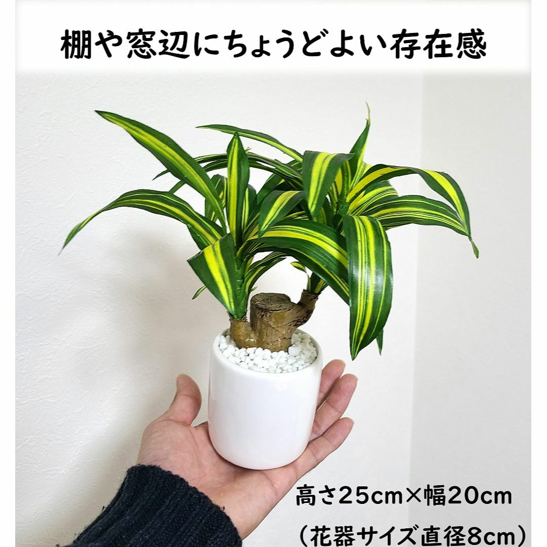 【色:ドラセナ(幸運の木)】日本インソール工業 インテリアグリーン 観葉植物 フ その他のその他(その他)の商品写真