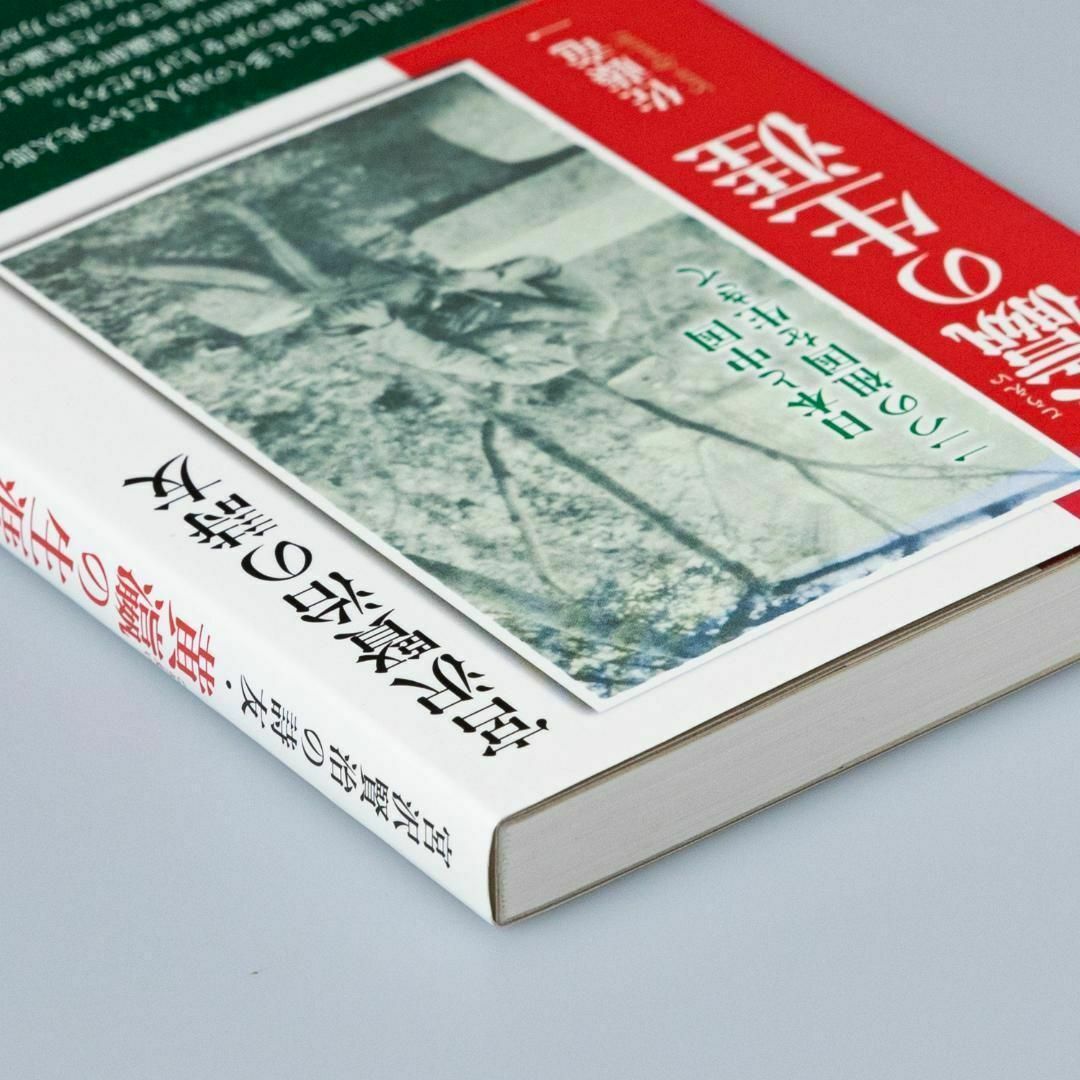 宮沢賢治の詩友・黄瀛の生涯 日本と中国 二つの祖国を生きて エンタメ/ホビーの本(文学/小説)の商品写真