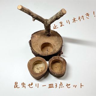 止まり木付き 昆虫ゼリー皿 3点セット木製 昆虫 カブトムシ クワガタ飼育(虫類)