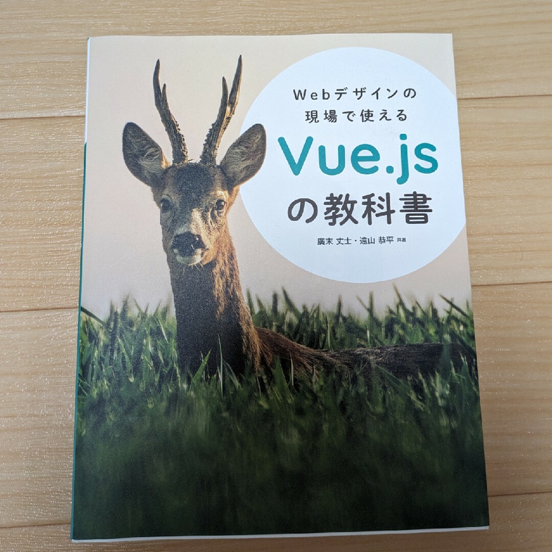 Ｗｅｂデザインの現場で使えるＶｕｅ．ｊｓの教科書 エンタメ/ホビーの本(コンピュータ/IT)の商品写真