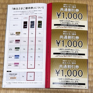 西武ホールディング  株主優待共通割引券  5000円分(その他)