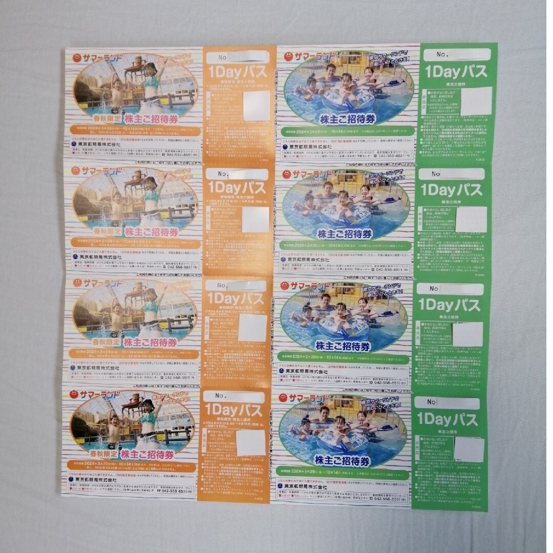 【ラクマパック】東京都競馬 株主優待 サマーランド 8枚 チケットの施設利用券(遊園地/テーマパーク)の商品写真