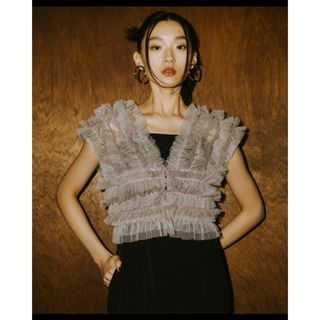 完売品 ANDRESD tulle vest all in one dress (オールインワン)