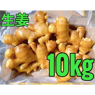 生姜10kg(野菜)