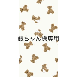 銀ちゃん様専用　チャンピオンカバン(ウエストポーチ)