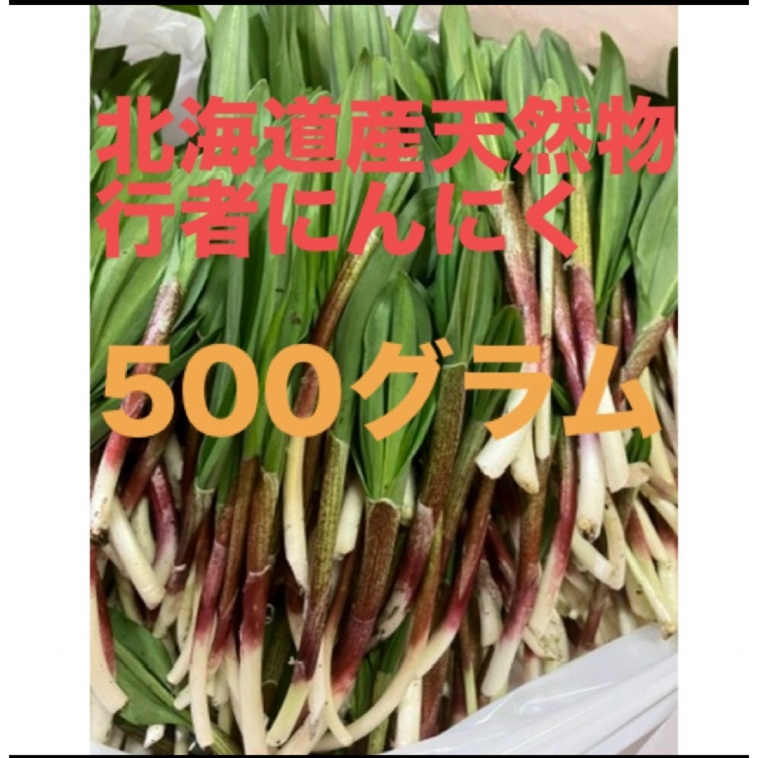 北海道産天然物行者にんにく　500g 食品/飲料/酒の食品(野菜)の商品写真