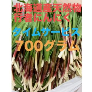 北海道産天然物行者にんにく　700g(野菜)