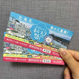 舞州　ネモフィラ祭り　2024年　招待券2枚(その他)