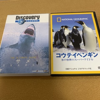 2枚セット　コウテイペンギン / サメ　DVD(趣味/実用)
