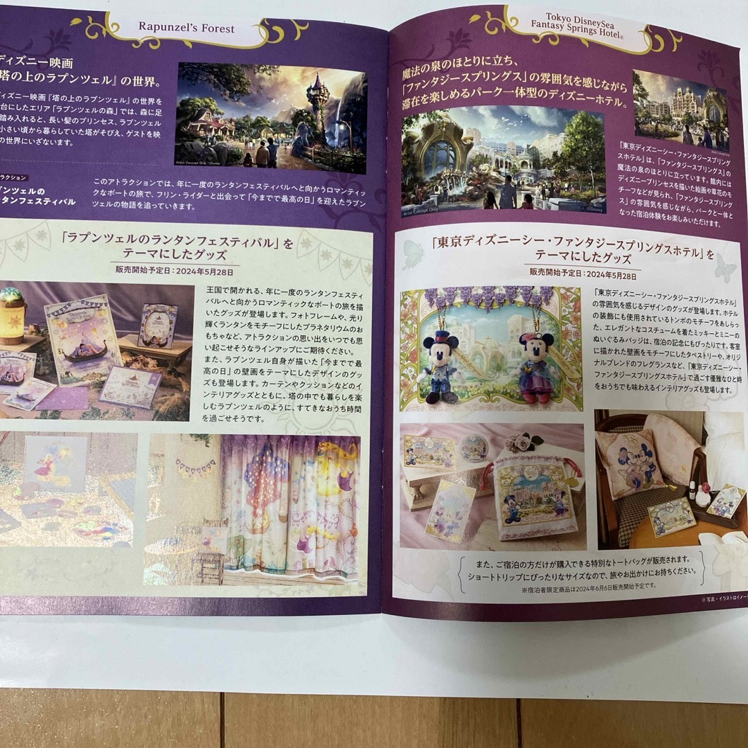 Disney(ディズニー)のディズニーシー　ファンタジースプリングスの冊子 エンタメ/ホビーの本(その他)の商品写真