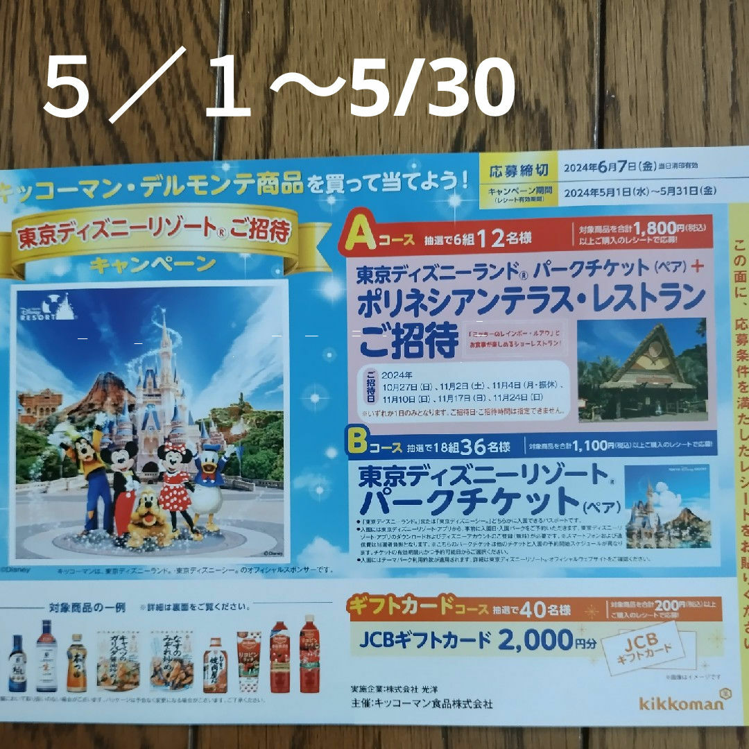 ディズニーキャンペーン エンタメ/ホビーのエンタメ その他(その他)の商品写真