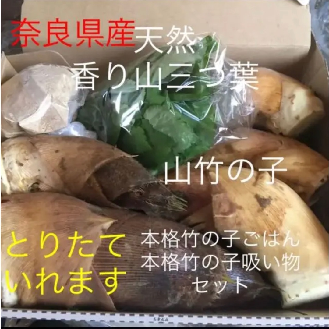 昼からとれたて当日発送！山竹の子と天然山三つ葉 たけのこ ぬか付 食品/飲料/酒の食品(野菜)の商品写真