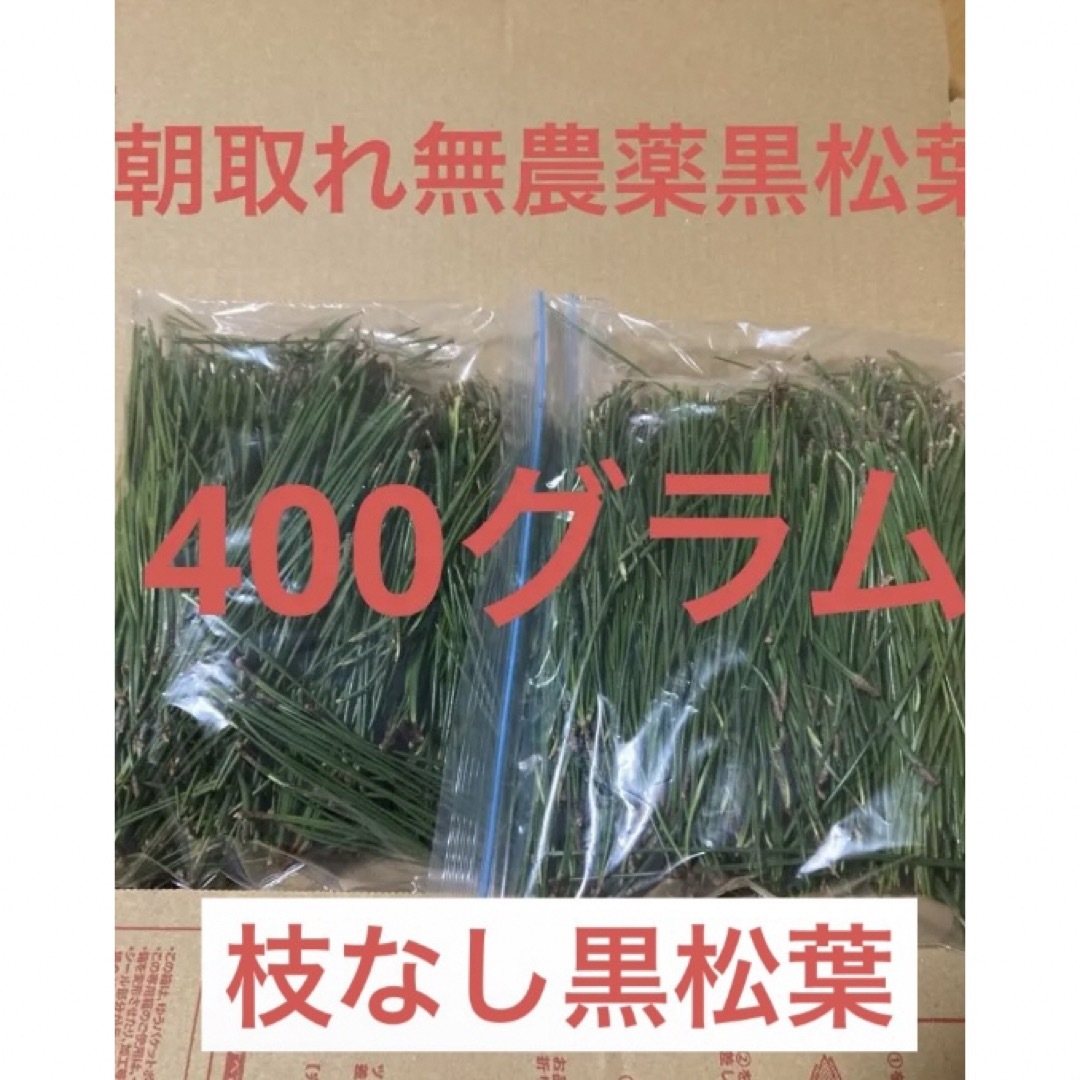 枝なし黒松葉400グラム即購入可　即日発送　岡山県　無農薬 食品/飲料/酒の食品(野菜)の商品写真