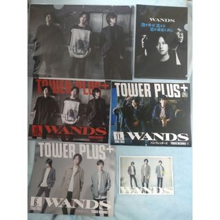 【未使用】WANDS5期 クリアファイルとタワレコフリーペーパーとポストカード(ミュージシャン)