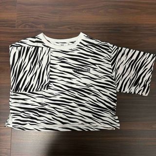 wego ウィゴー　レディース　トップス　Tシャツ　カットソー　ゼブラ　半袖