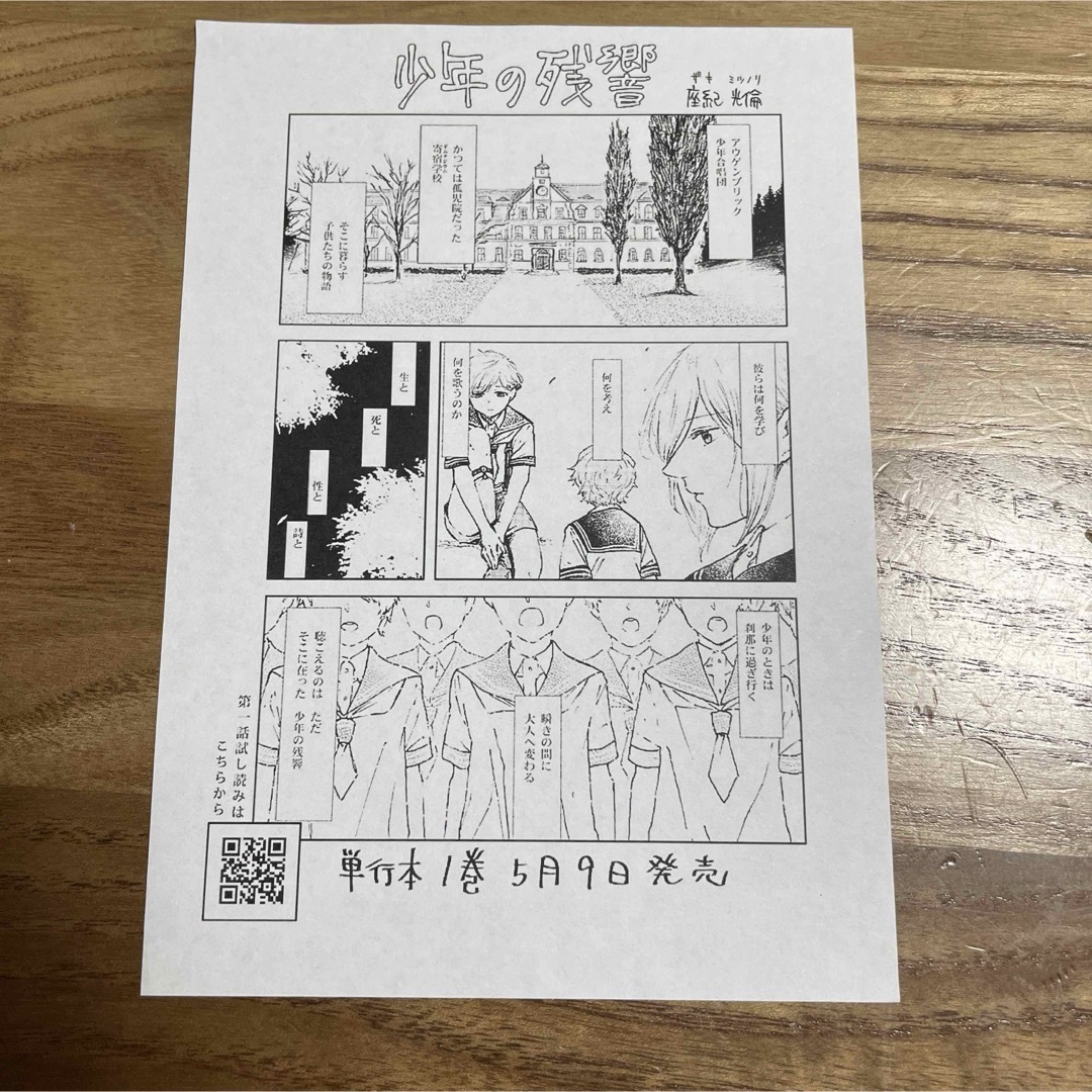 少年の残響　特典ペーパー エンタメ/ホビーの漫画(青年漫画)の商品写真