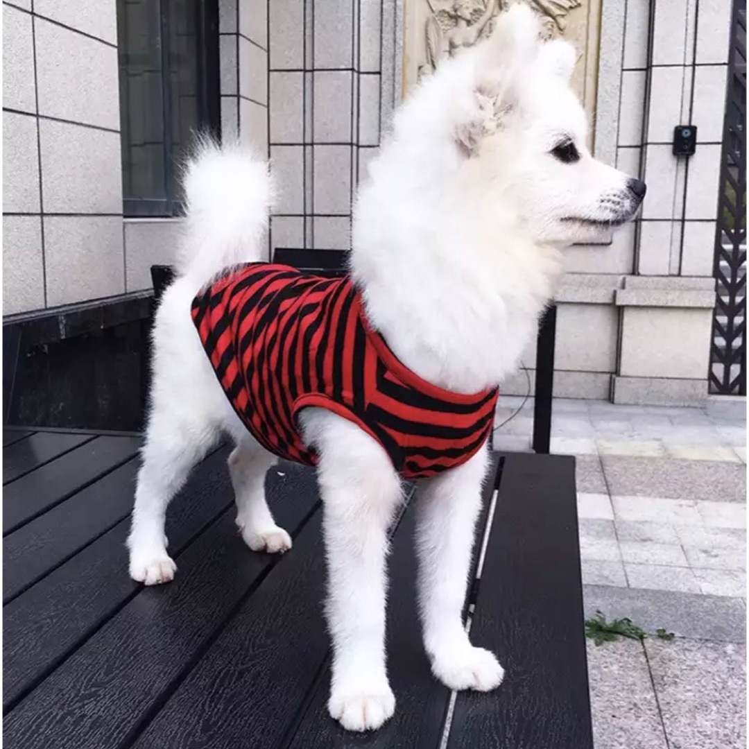 犬服 犬 服 かわいい ボーダー ストライプ シャツ 小型犬 赤 LL 袖なし その他のペット用品(犬)の商品写真