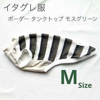 ハンドメイド イタグレ服　タンクトップ ボーダー モスグリーン　Mサイズ