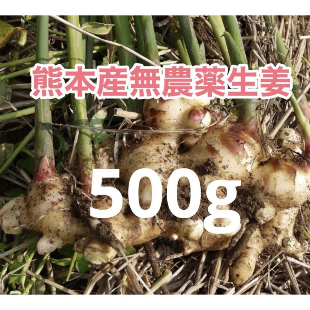 熊本産農薬不使用生姜500g 食品/飲料/酒の食品(野菜)の商品写真