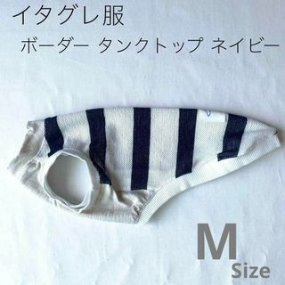 ハンドメイド イタグレ服　タンクトップ ボーダー ネイビー　Mサイズ(ペット服/アクセサリー)