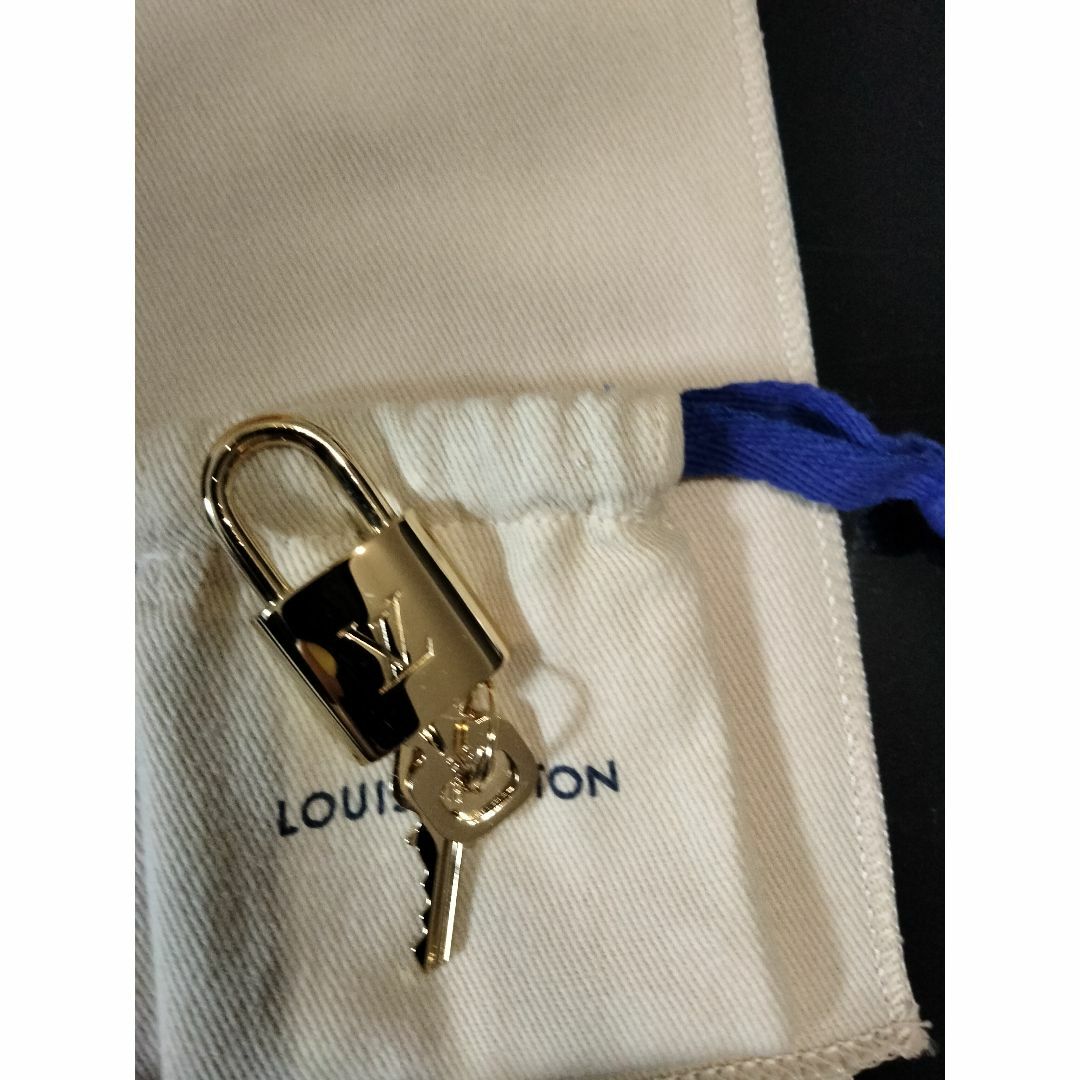 LOUIS VUITTON(ルイヴィトン)のルイヴィトン　スピーディーバンドリエール20 レディースのバッグ(ショルダーバッグ)の商品写真
