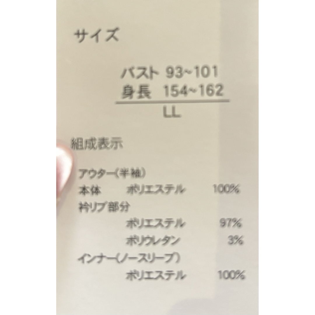 限定値下 インナーワンピース付き メッシュロングワンピース レディースのワンピース(ロングワンピース/マキシワンピース)の商品写真