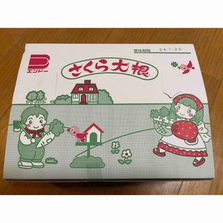 遠藤食品 さくら大根 2枚×20袋(菓子/デザート)