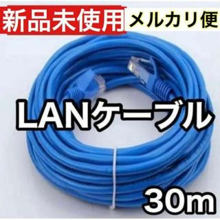 LANケーブル 30M RJ-45 8芯 Cat 5 最大100Mbps