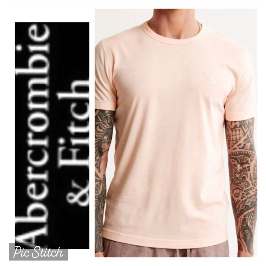 Abercrombie&Fitch(アバクロンビーアンドフィッチ)の割引あり◎L◎新品正規品◎アバクロ◎Tシャツ◎送料込 メンズのトップス(Tシャツ/カットソー(半袖/袖なし))の商品写真