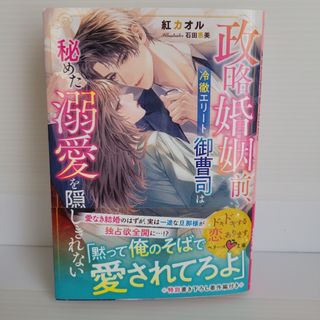 政略婚姻前、冷徹エリート御曹司は秘めた溺愛を隠しきれない(文学/小説)