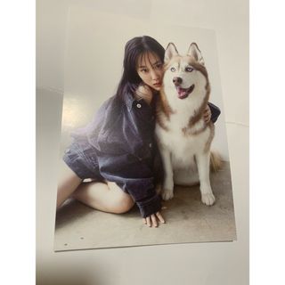 ノギザカフォーティーシックス(乃木坂46)の乃木坂46 山下美月　写真集ヒロイン封入　メッセージ付き特大ポストカード　③(アイドルグッズ)