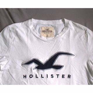 ホリスター(Hollister)の「HOLLISTER Tシャツ」USED-2(Tシャツ/カットソー(半袖/袖なし))