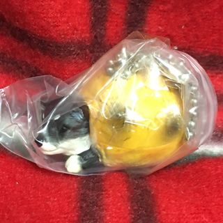 バンダイ(BANDAI)のいぬぱん10 黒豆しばパン 犬 ガチャ(キャラクターグッズ)