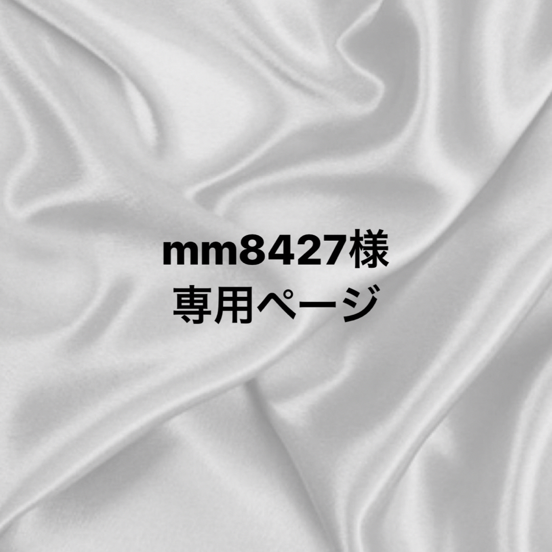 mm8427様専用ページ その他のその他(その他)の商品写真