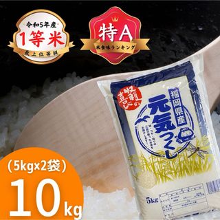 元気つくし10kg《令和5年産》1等米 厳選米 福岡県産 お米 安い 美味しい(米/穀物)