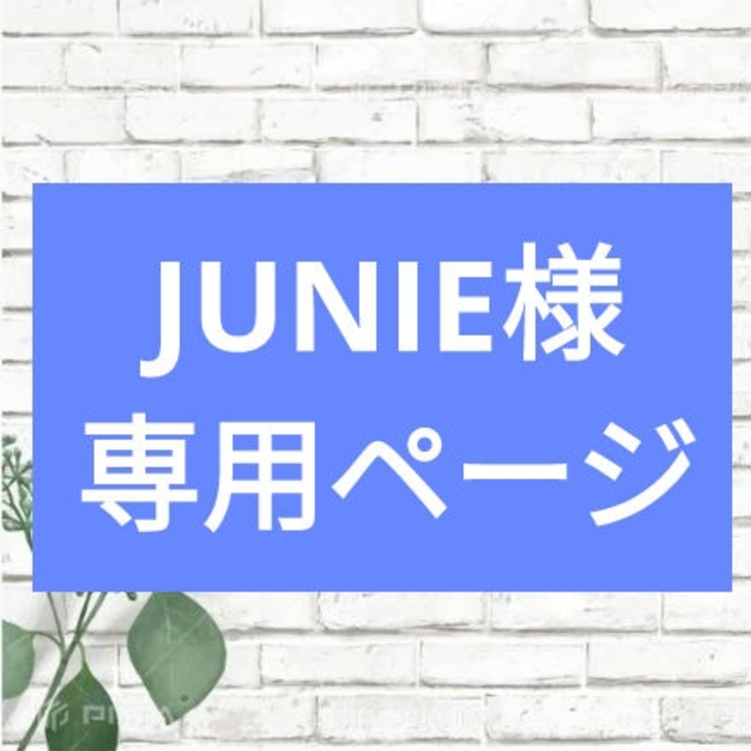 JUNIE様専用ページ コスメ/美容のヘアケア/スタイリング(オイル/美容液)の商品写真