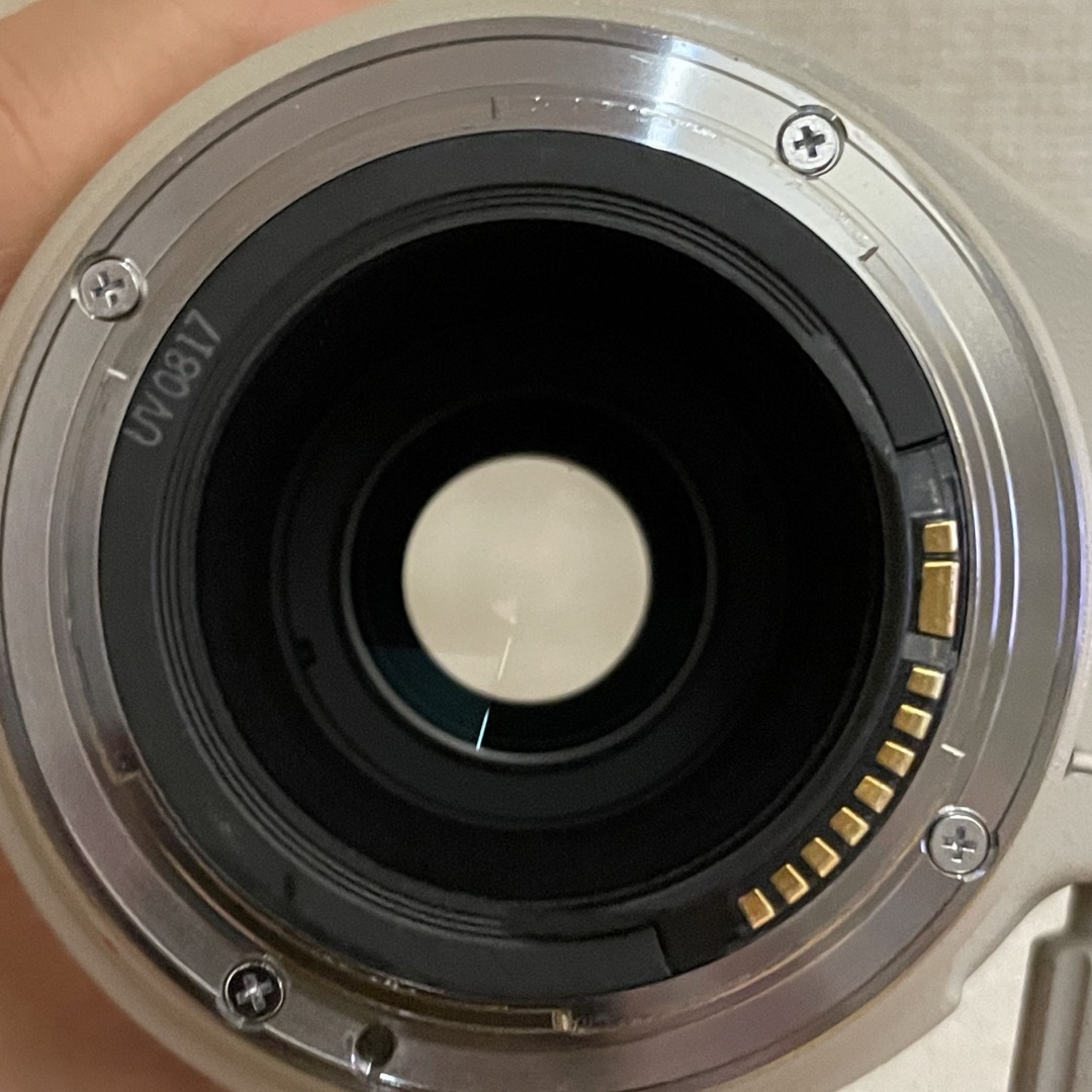 Canon(キヤノン)のCanon EF100-400 f4.5-5.6 L IS スマホ/家電/カメラのカメラ(デジタル一眼)の商品写真