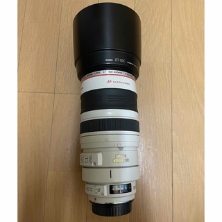 キヤノン(Canon)のCanon EF100-400 f4.5-5.6 L IS(デジタル一眼)