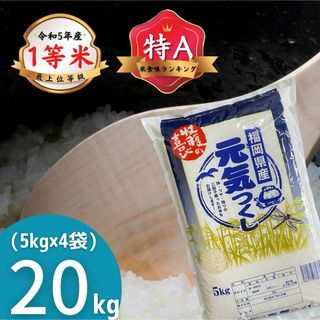 元気つくし20kg《令和5年産》1等米 厳選米 福岡県産 お米 安い 美味しい(米/穀物)