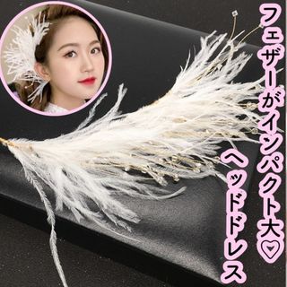 ヘッドドレス★フェザー 羽 ヘアアクセサリー新品ウェディングブライダルティアラ (その他)