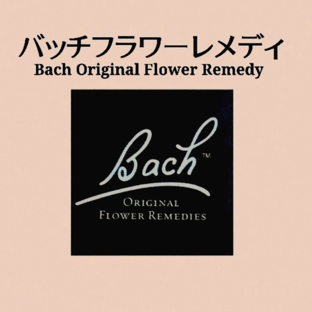 ■NelsonBach社■ノンアルコールレスキュースプレー《20ml》 コスメ/美容のスキンケア/基礎化粧品(美容液)の商品写真