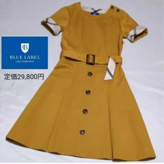 ブルーレーベルクレストブリッジ(BLUE LABEL CRESTBRIDGE)のBLUE LABEL CRESTBRIDGE クリアストレッチポンチワンピース(ひざ丈ワンピース)